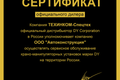Cертификат на сервисное обслуживание DYl Автоконструкция 2022